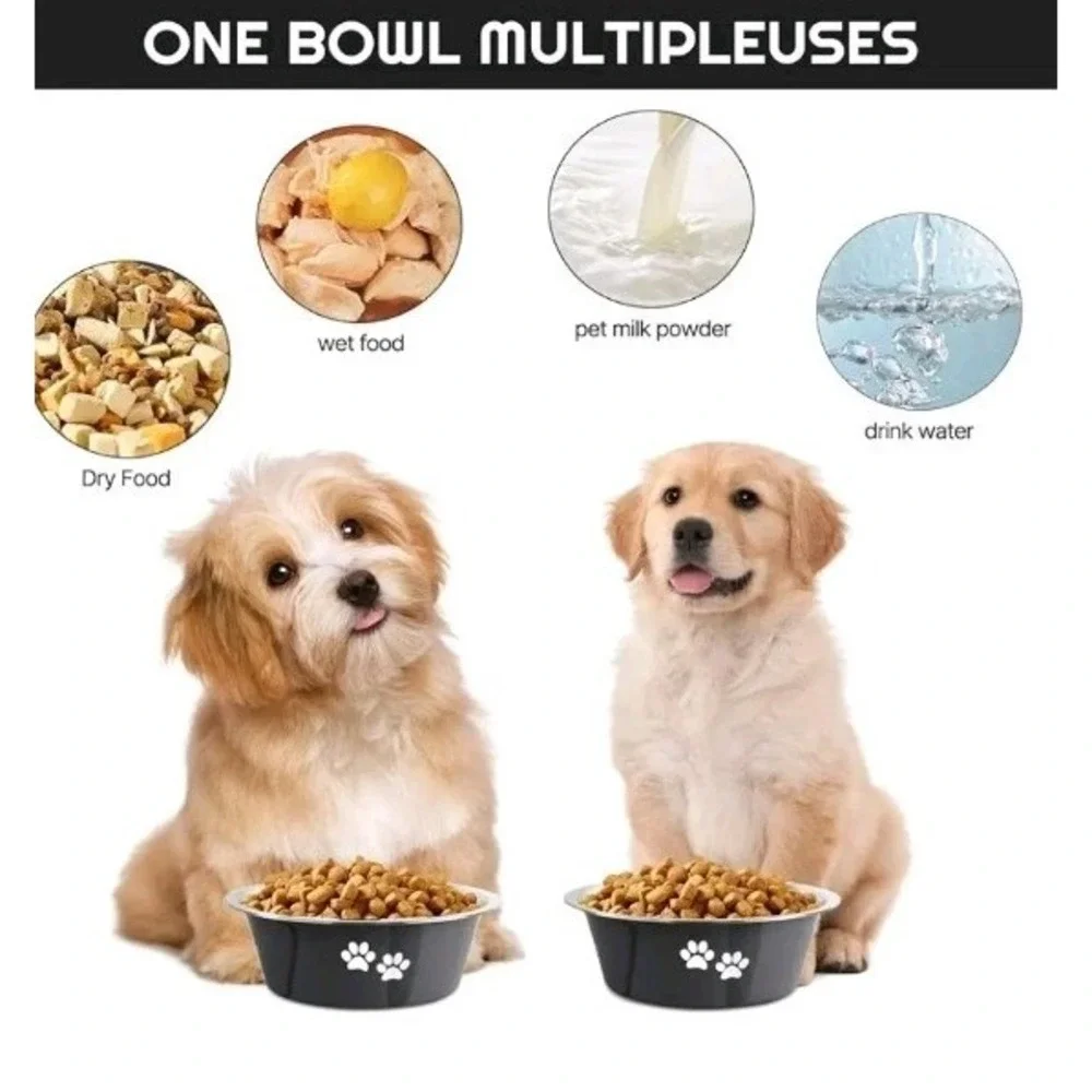 Stainless Steel Dog Dishes, 6.6 Cups, Raised Pet Feeder With Non Slip Bottom
